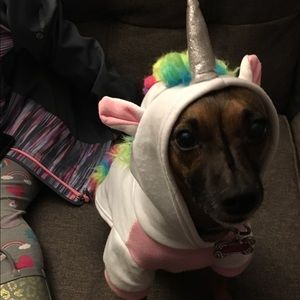 Meet your Posher, Patricia